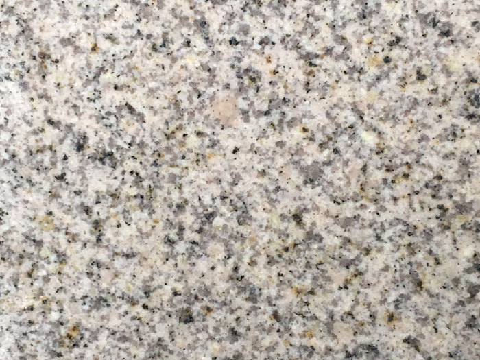 717042301975166216.jpg