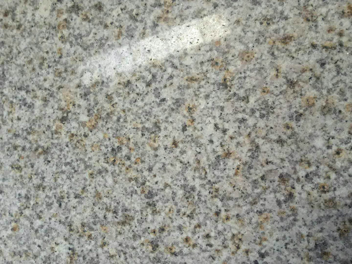 745706894169083502.jpg